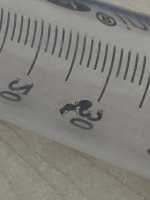 IMG_5534.jpeg