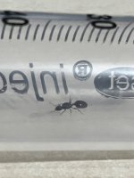 IMG_5532.jpeg