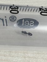 IMG_5531.jpeg