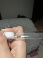 IMG_4882.jpeg