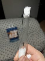 IMG_4880.jpeg