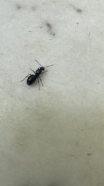 IMG_0594.jpeg