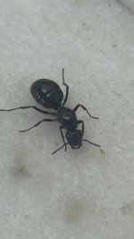 IMG_0597.jpeg