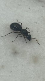 IMG_0596.jpeg