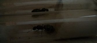 IMG_20220518_164345.jpg