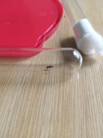 IMG_20220518_174923_524.jpg