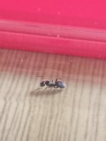IMG_20220518_173009_220.jpg