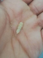 IMG_20220522_104620.jpg