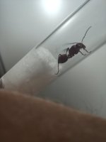 IMG_20220524_225322.jpg