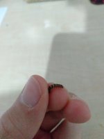 IMG20220526220601.jpg