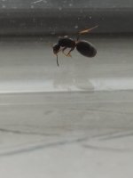 17505224898621523129350385847021.jpg 17505224898621523129350385847021.jpg