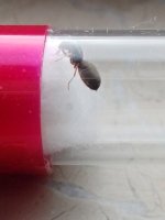 17505225186756386281735016138217.jpg 17505225186756386281735016138217.jpg