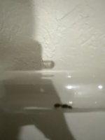 IMG_9423.jpeg