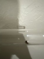 IMG_9422.jpeg