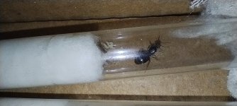 IMG_20250622_020843.jpg