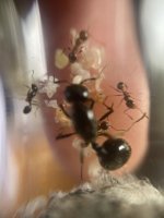 IMG_4467.jpeg