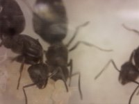 20250622-174035-329.jpg
