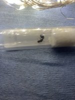 IMG_2705.jpeg