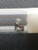 IMG_6796.jpeg