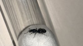 IMG_7194.jpeg
