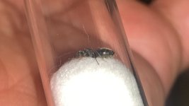 IMG_7188.jpeg