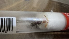 IMG_1654.jpeg