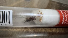 IMG_1652.jpeg