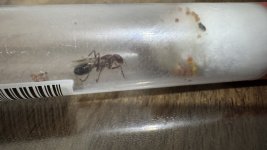 IMG_1647.jpeg