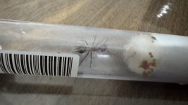 IMG_1646.jpeg
