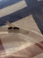 IMG_1097.jpeg