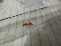 IMG_20250623_195858.jpg