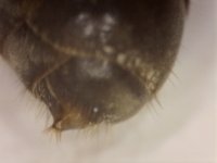 20250623-224405-242.jpg