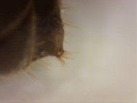 20250623-225155-866.jpg