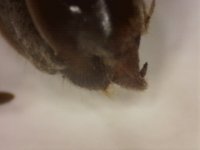 20250623-232825-149.jpg