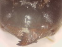 20250623-235756-420.jpg