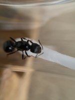 IMG_0264.jpeg