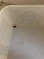 IMG_0773.jpeg