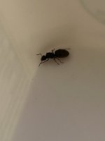 IMG_0775.jpeg