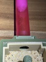 IMG_9155.jpeg