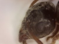 20250624-184122-834.jpg