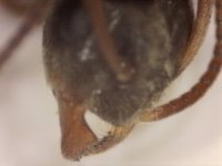 20250624-184804-179.jpg