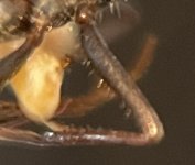 IMG_7114.jpeg