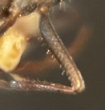 IMG_7113.jpeg