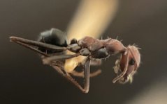 IMG_7102.jpeg