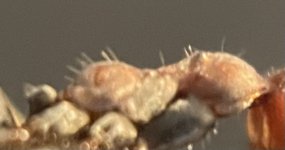 IMG_7100.jpeg