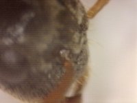 20250624-201930-420.jpg