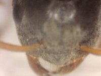 20250624-201907-093.jpg