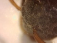 20250624-203019-836.jpg