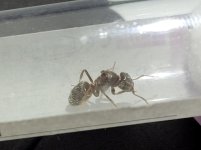 SAVE_20250624_211937.jpg