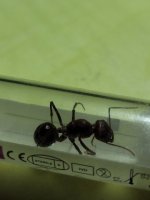20250624_213559.jpg